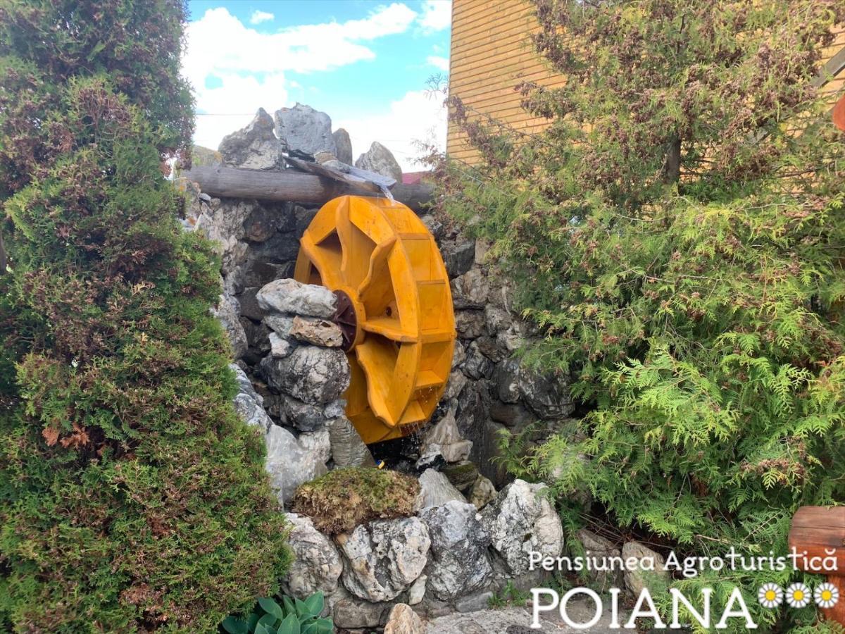 Pensiunea Agroturistica Poiana Poiana Negrii Luaran gambar